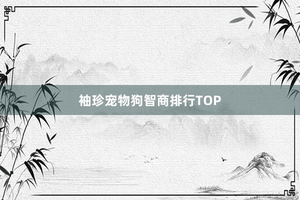 袖珍宠物狗智商排行TOP